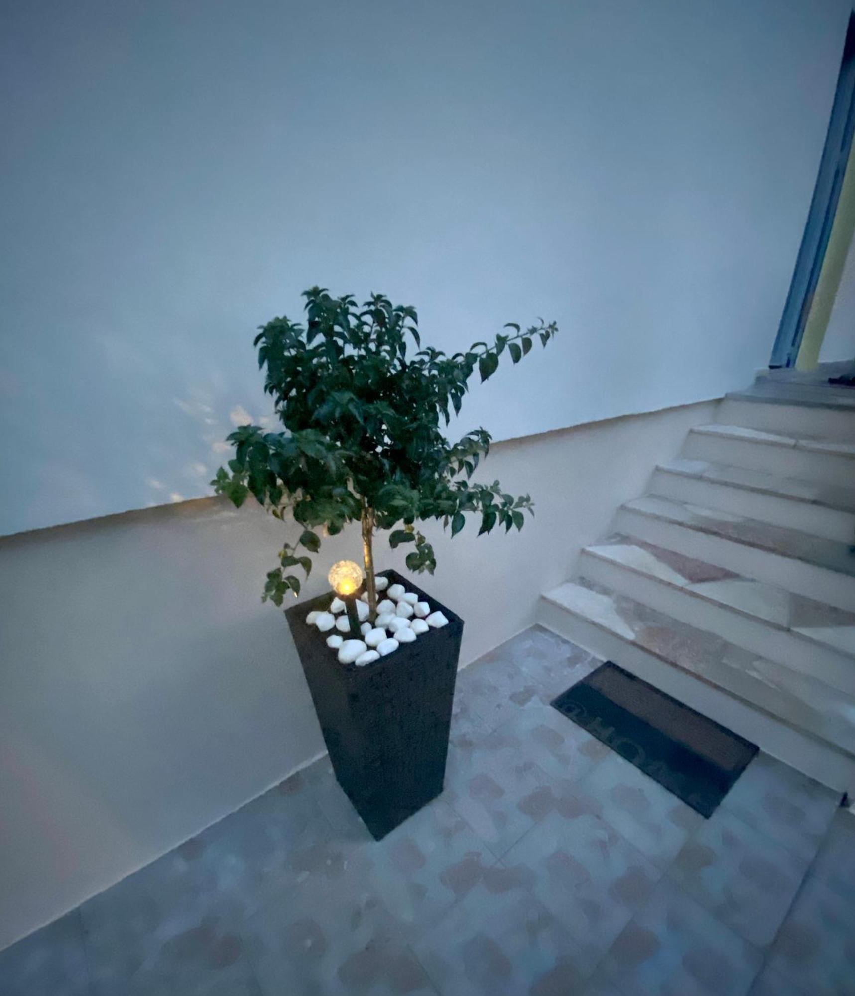 Lumar Holidays And Apartments Преко Экстерьер фото